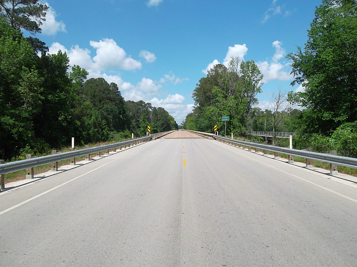 A two-lane road running straight through dense East Texas pine woods under a blue sky &mdash; representative imagery, not a specific Texas Pride job