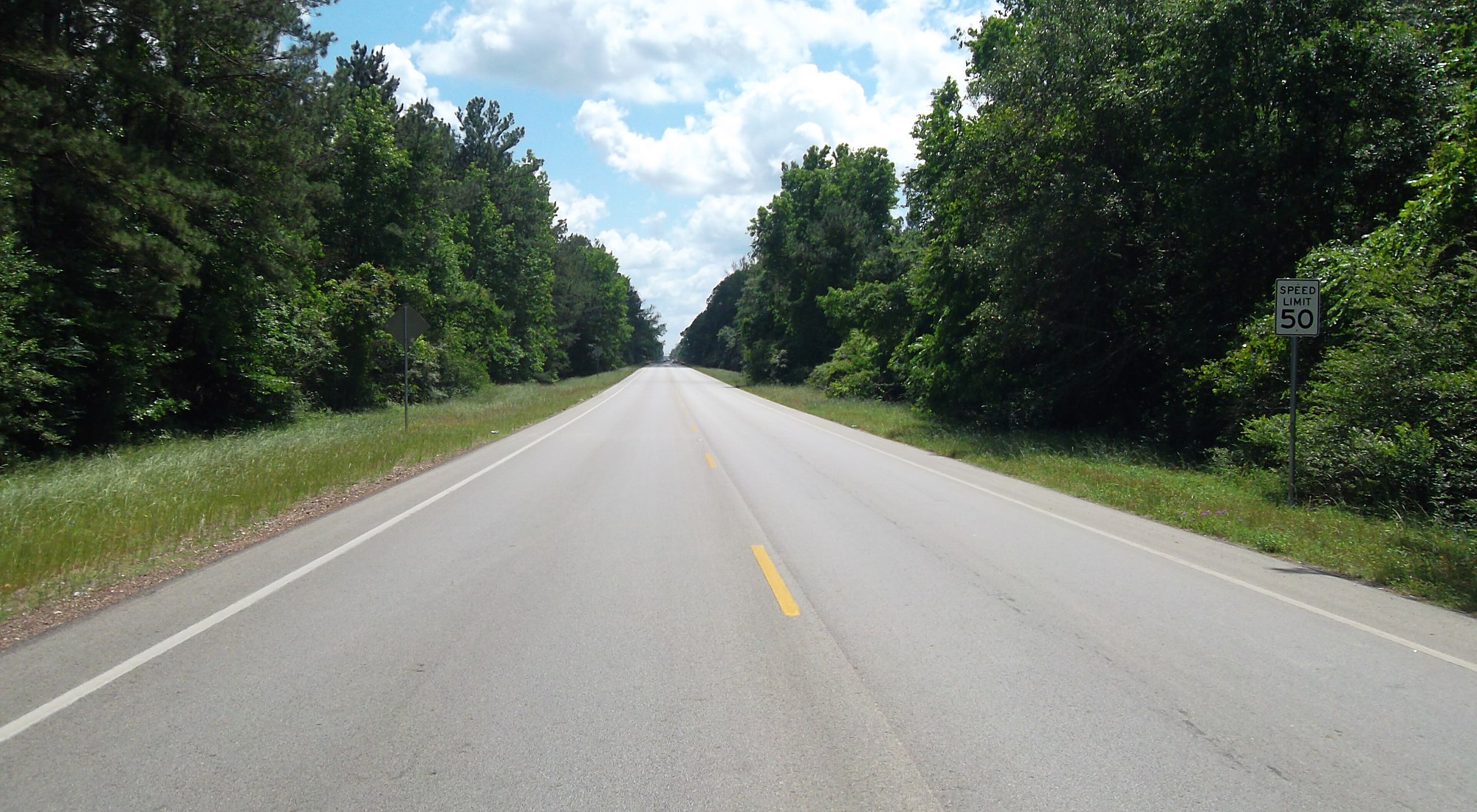 A two-lane road running straight through dense East Texas pine woods under a blue sky &mdash; representative imagery, not a specific Texas Pride job